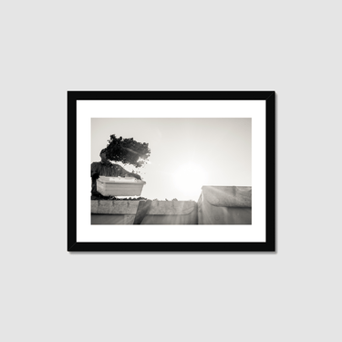 In Flight Framed Print
